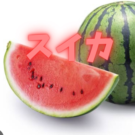 プロフィール